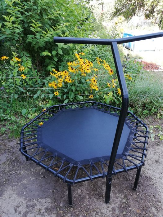 Фитнес батут Pro Jumping