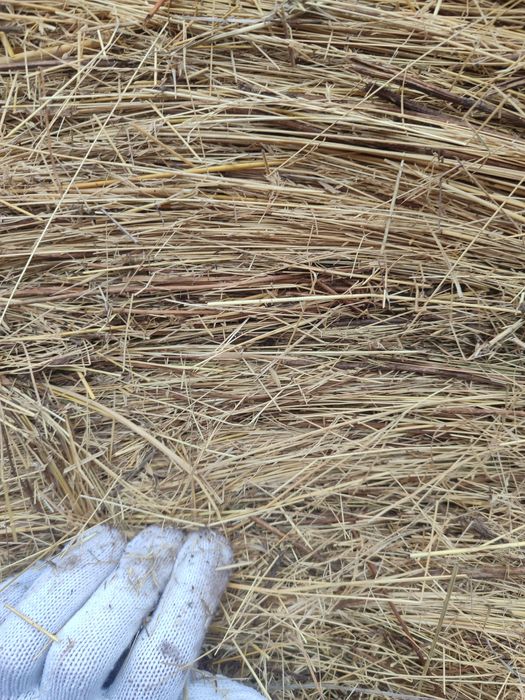 Сено. Бесплатная доставка.