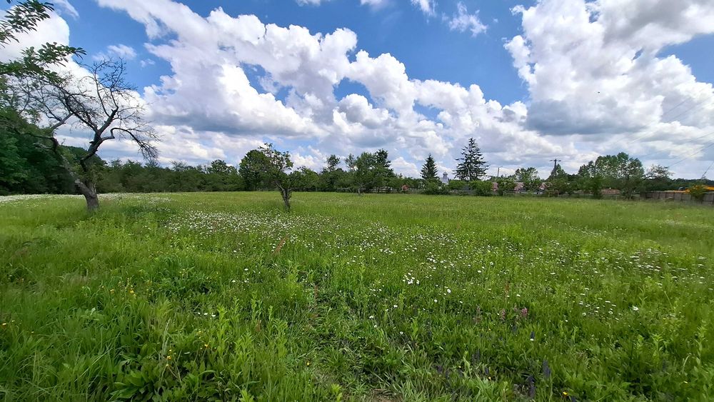 Casa Moraresti 3 camere si/sau teren stradal intravilan 6522 mp