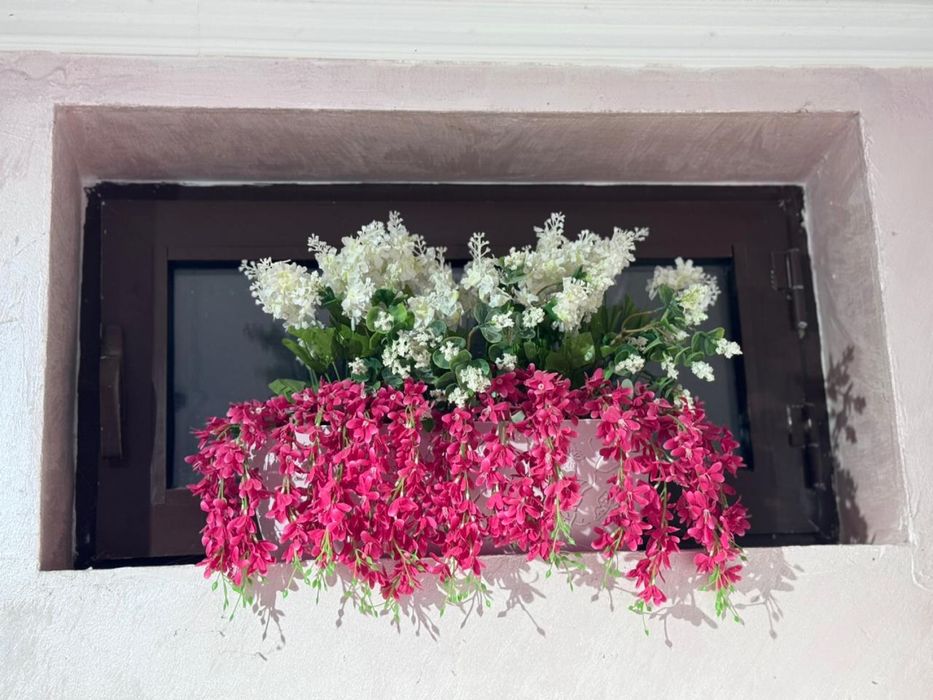 Продам цветы разные, большие