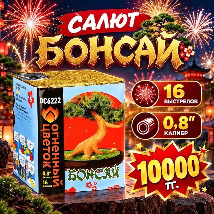 Салюты фейерверки