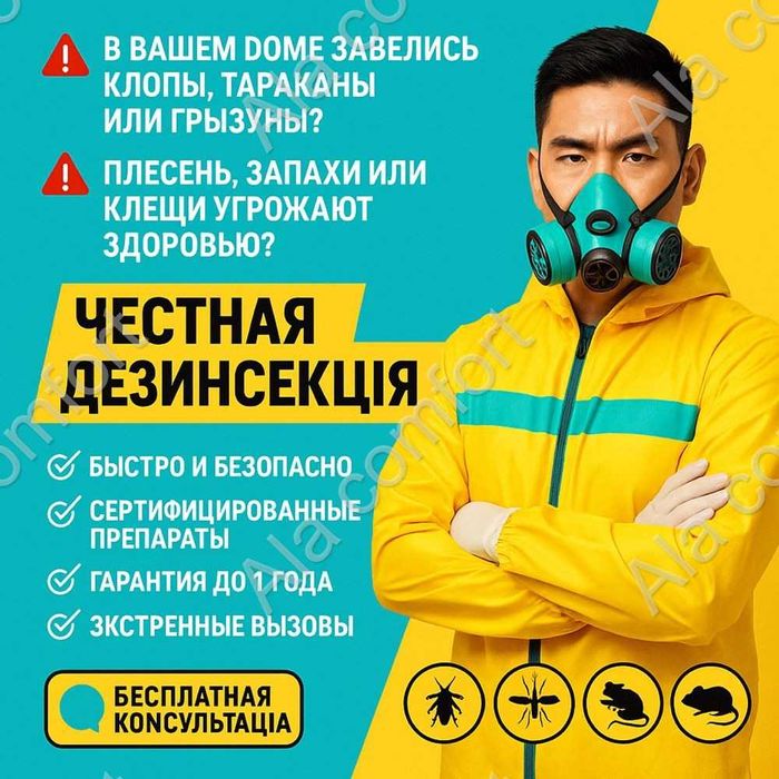 Обработка от тараканов, клопов, блох, клещей и мышей клоп таракан мышь