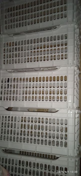 Прочные и большие ящики