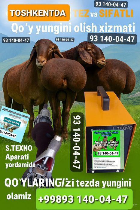 Qòy sartarosh xizmati