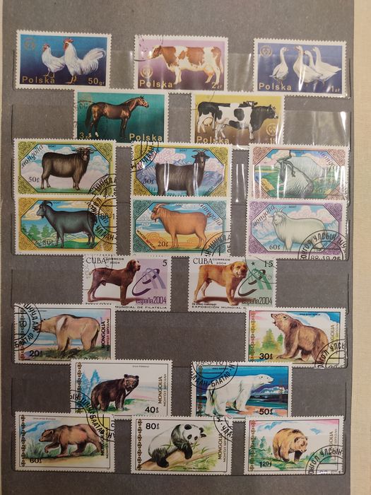 Почтовые марки. Альбом "Животные".