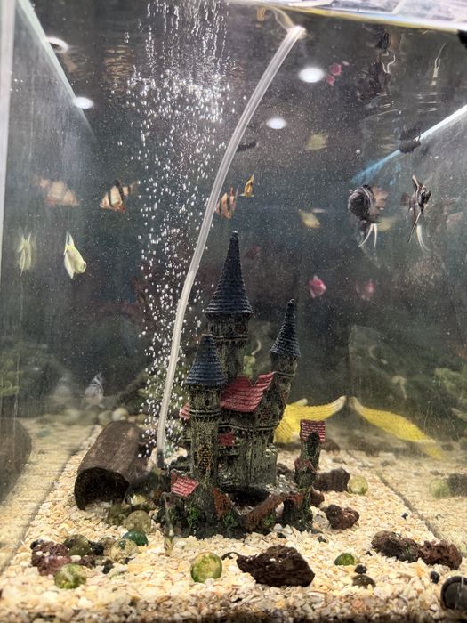 Аквариум с рыбками