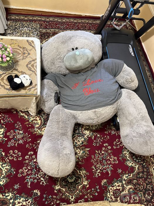 Teddy ayiq judayam kottasi
