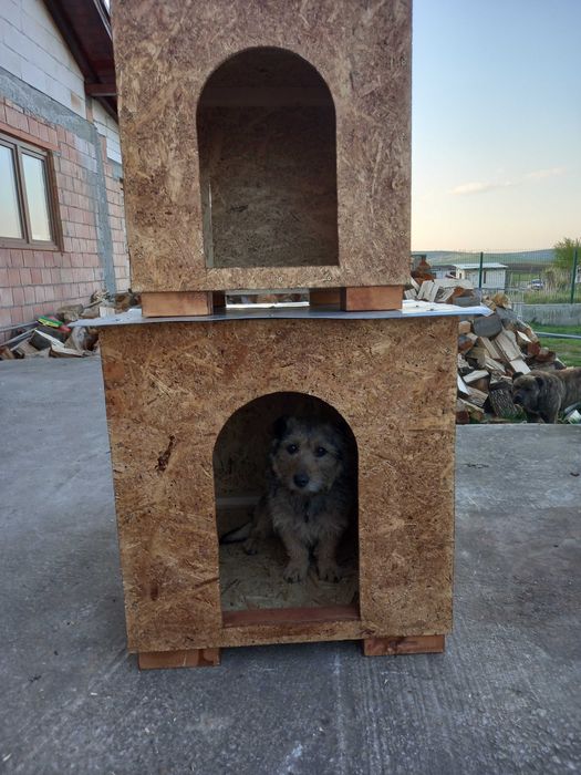 Vxnd casuta pentru animale de companie