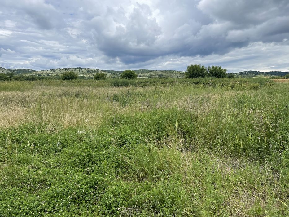 Продава се Парцел в Стара Загора, МБАЛ Иван Рилски - 1000 кв.м за 6 €/кв.м - Снимка #6