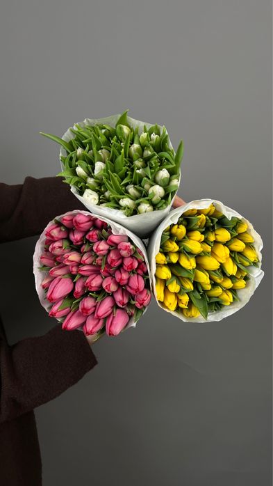 Тюльпаны голландия