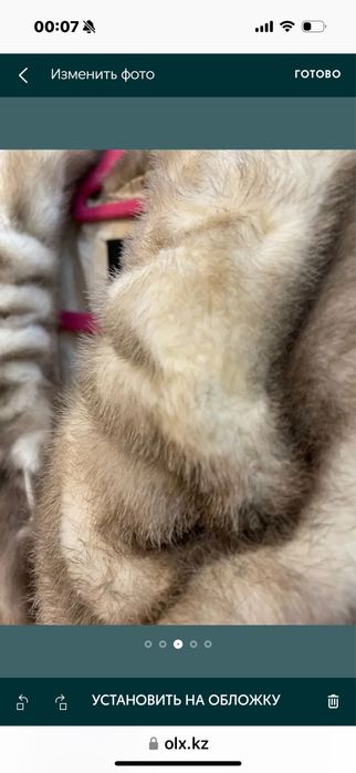 Натуральная норка