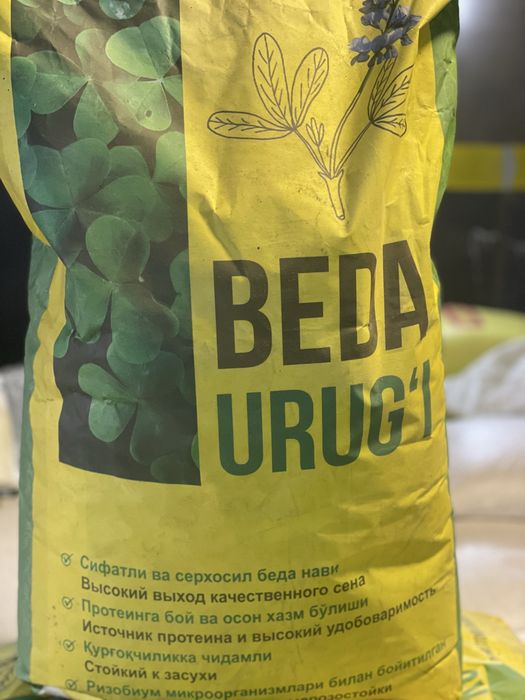 Beda urugʻi sifatli
