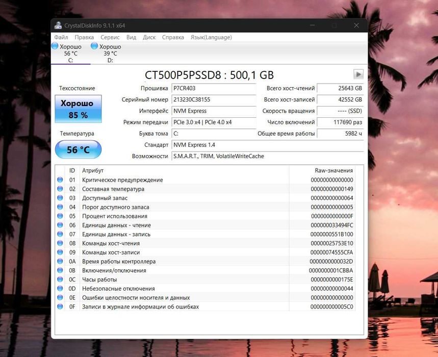 Crucial P5 Plus 500GB