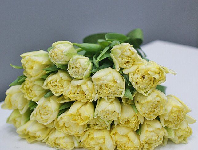 Тюльпаны экстра класса