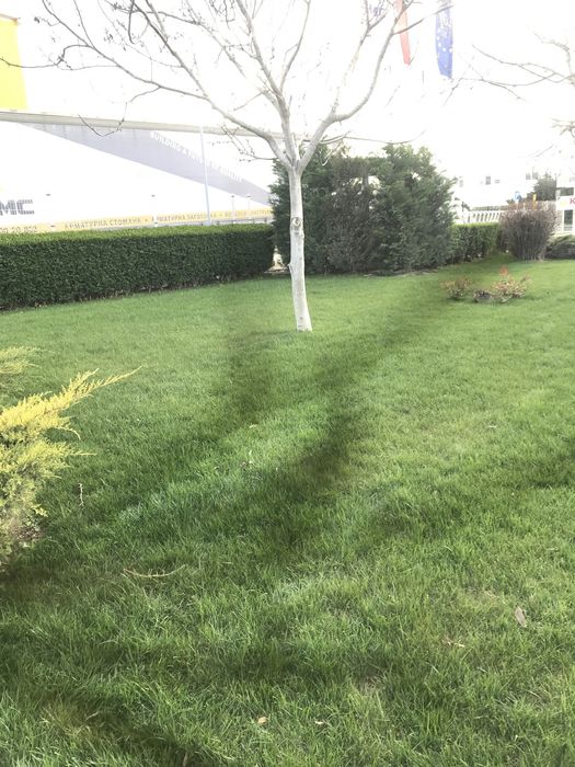 Професионално озеленяване и изграждане на поливни системи