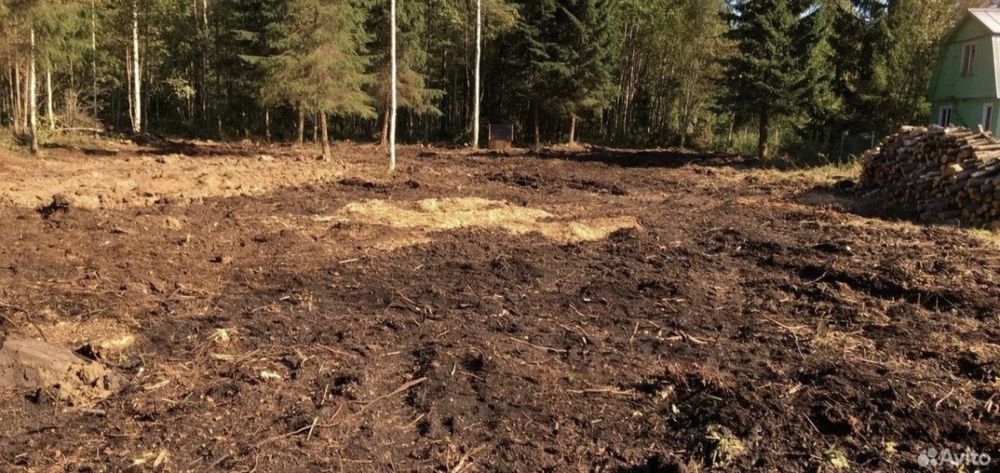 Бригада рабочих, уборка территории