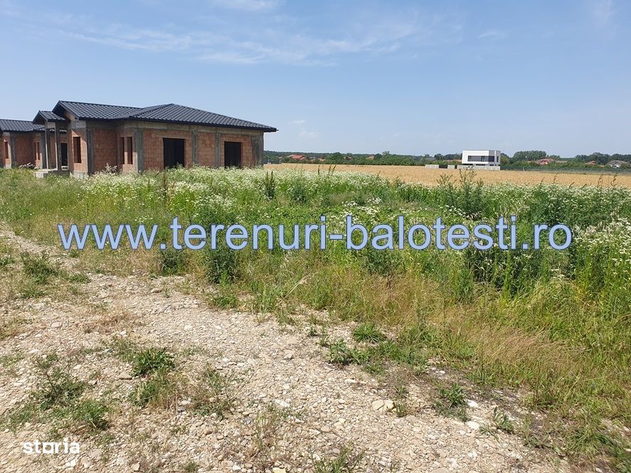 Teren Balotesti,padure Sri,19500 euro
