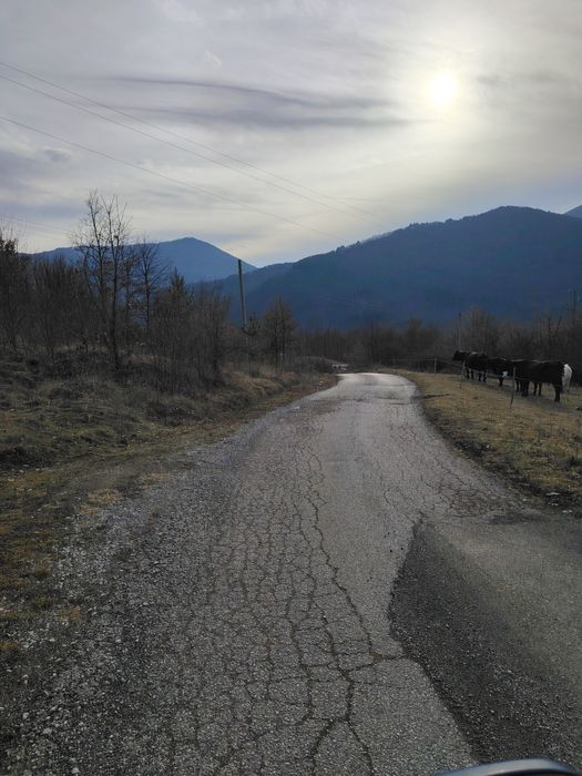 Продава се Парцел в с. Добърчин, Област София-област - 6500 кв.м за 10 €/кв.м - Снимка #6