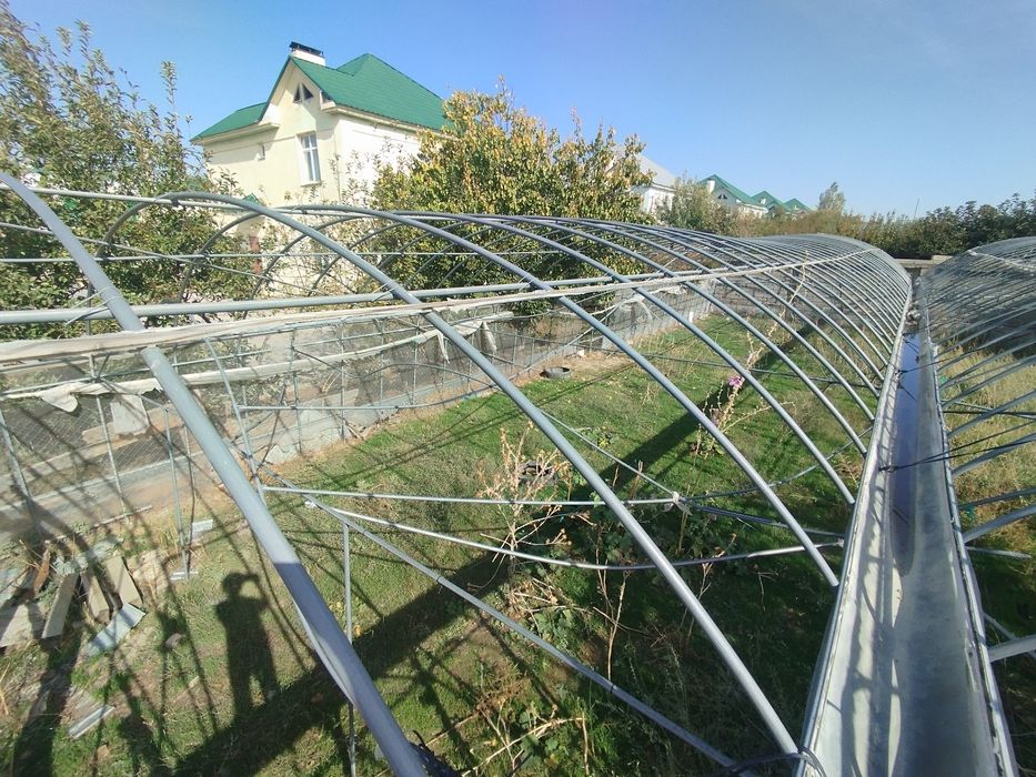Теплица сатамын . Багасын келысемыз