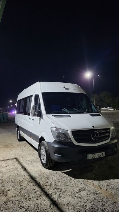 Спринтер на заказ, Sprinter, микроавтобус