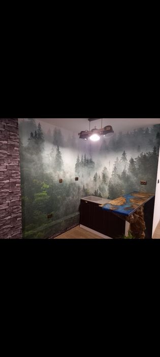 Montaj tapet și fototapet în București și Ilfov