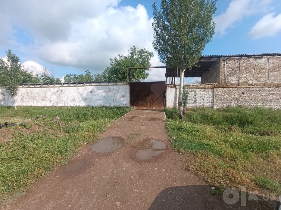 Ferma sotiladi 80 sotok . Gallakudukda .