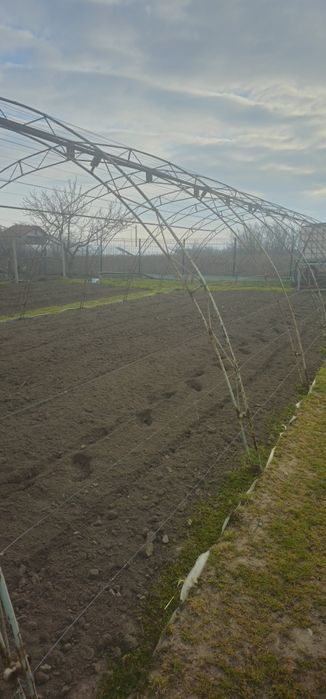 Асеновградска оранжерия