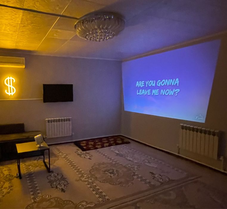 Проектор zellon.