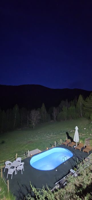Cabana de inchiriat cu PISCINA INCALZITA si CIUBAR Valea Ierii-Baisoar