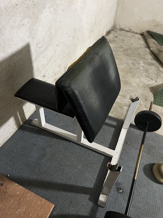 Фитнес фреди  за тренировка