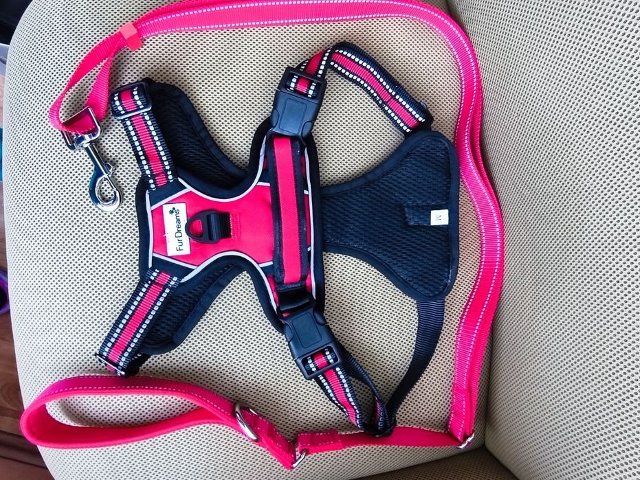 Ham cu lesă pentru câine