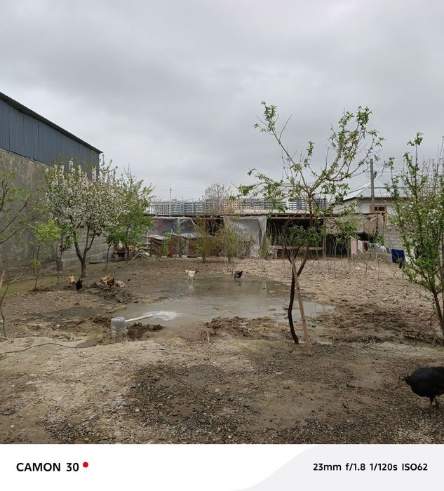 Srochna Hovli sotiladi