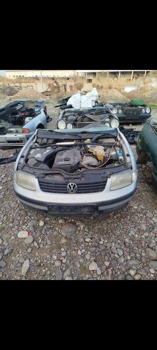 Привазной молдалар