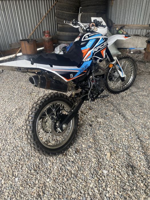 пантера рэсер 250