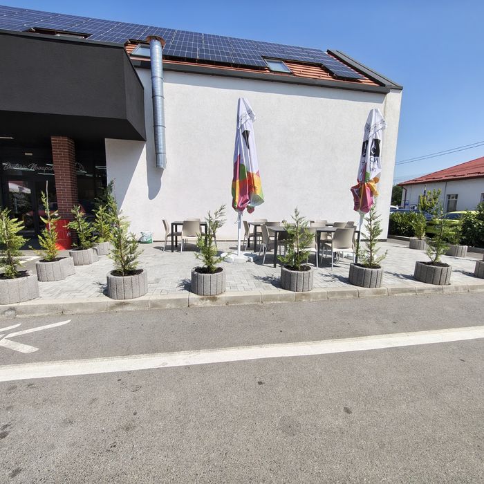 Vand afacere la cheie, fast food