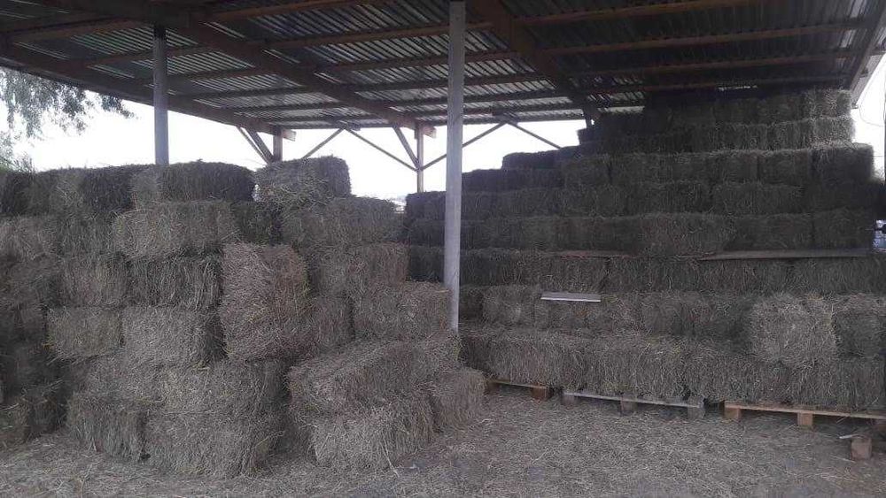 Продам сено в тюках (разнотравье)