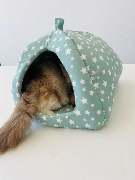 Легла за домашни любимци