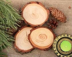 Кругляк натурального дерева в Ташкенте.