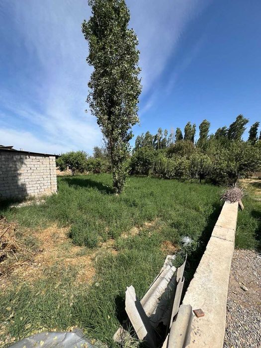 11.7 sotix yer sotiladi orentir bozsuv most SROCHNA