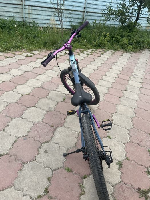 Atomic MTB / Dirt Jump