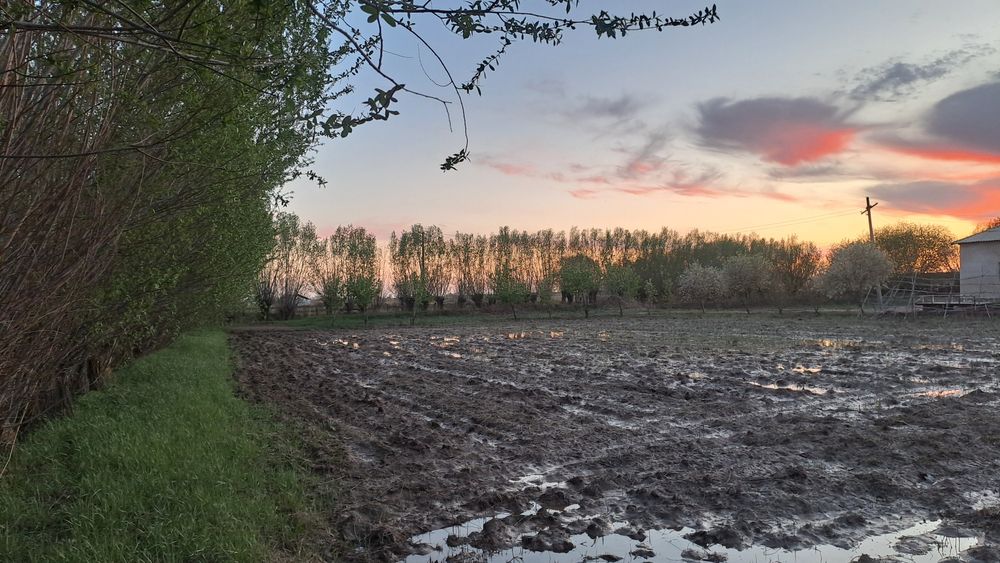 Жер жай сатылады келисимли