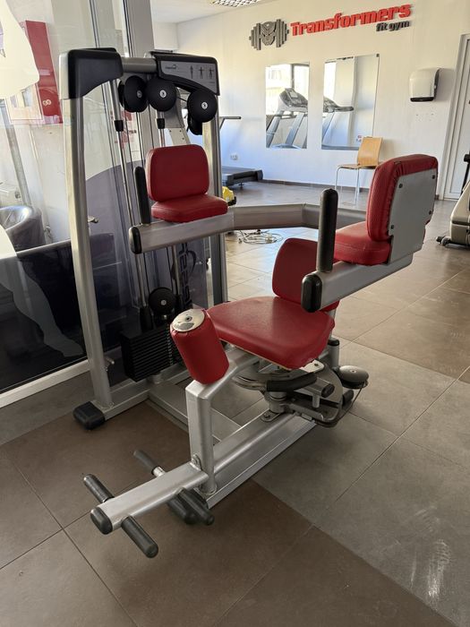 Aparat Rotary torso profesional