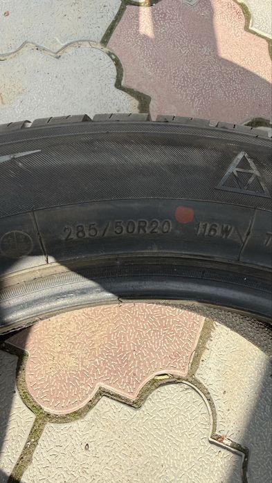 Ризина трианжел лето