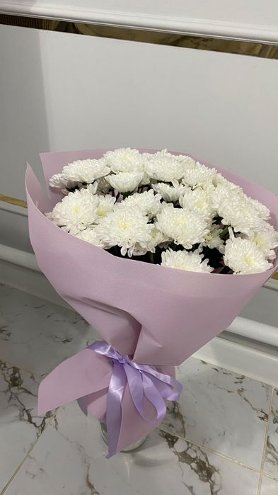 Продам цветы хризантемы …………..