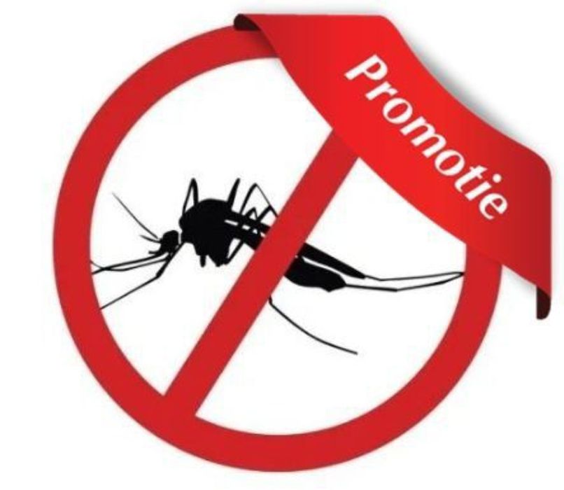 Plase Anti-Insecte / Plase Tantari