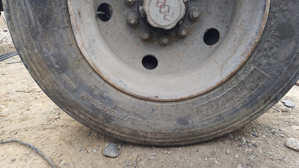 Продам ося 19.5 доя грузовой