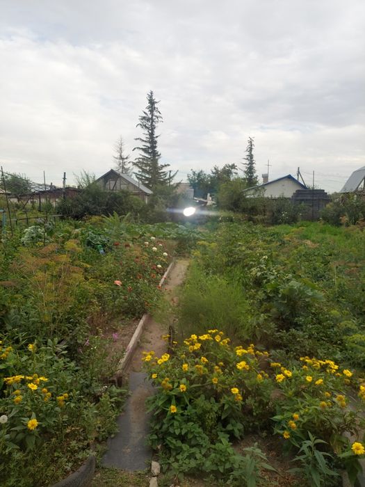 Продам дом в Сортировки. 9 соток.