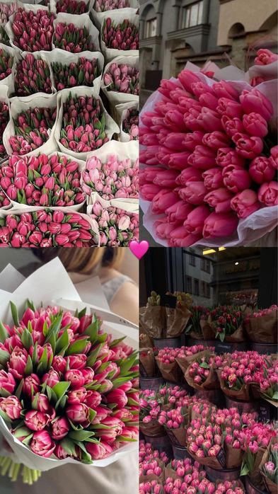 Тюльпаны Караганда