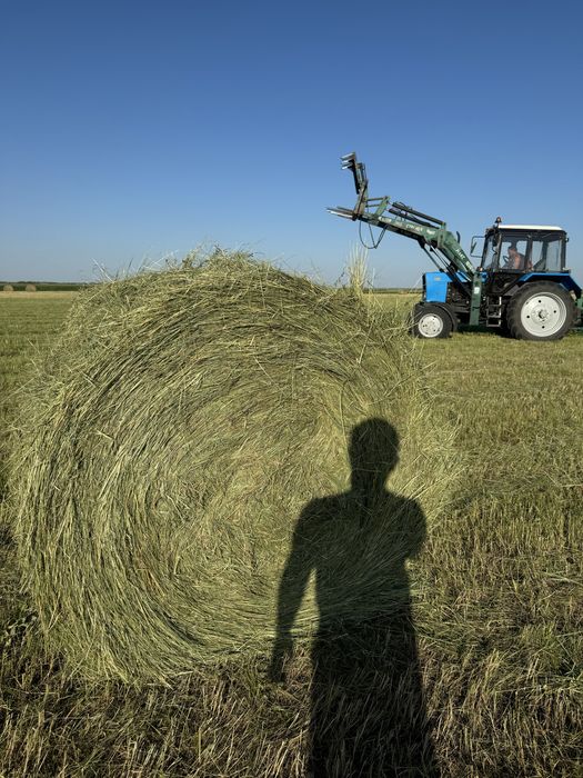 Продам луговое сено