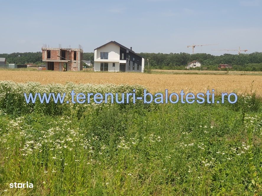 Teren Balotesti, vecinatate padure Sri,19500 euro